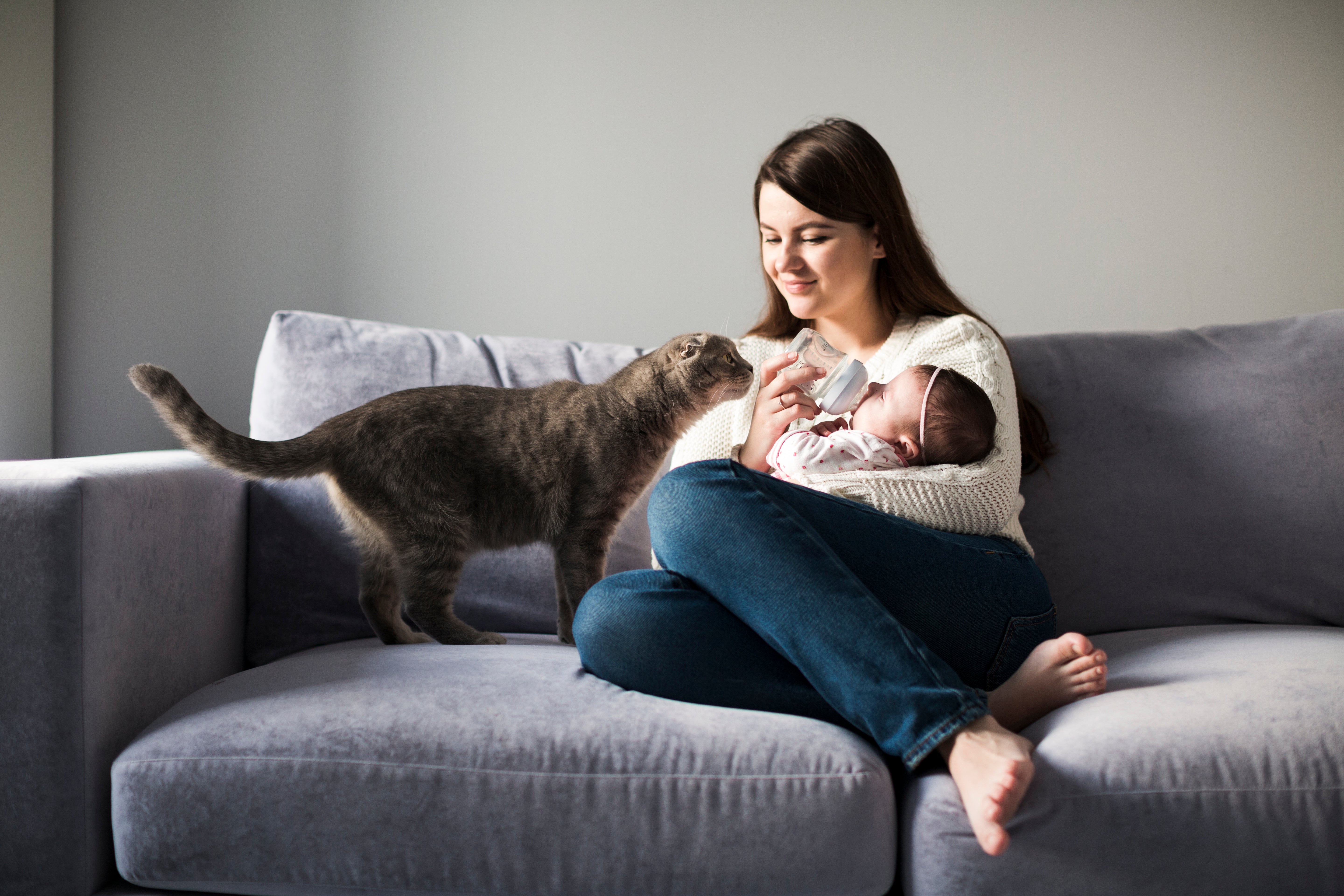 Cat and baby | Kitty Nook