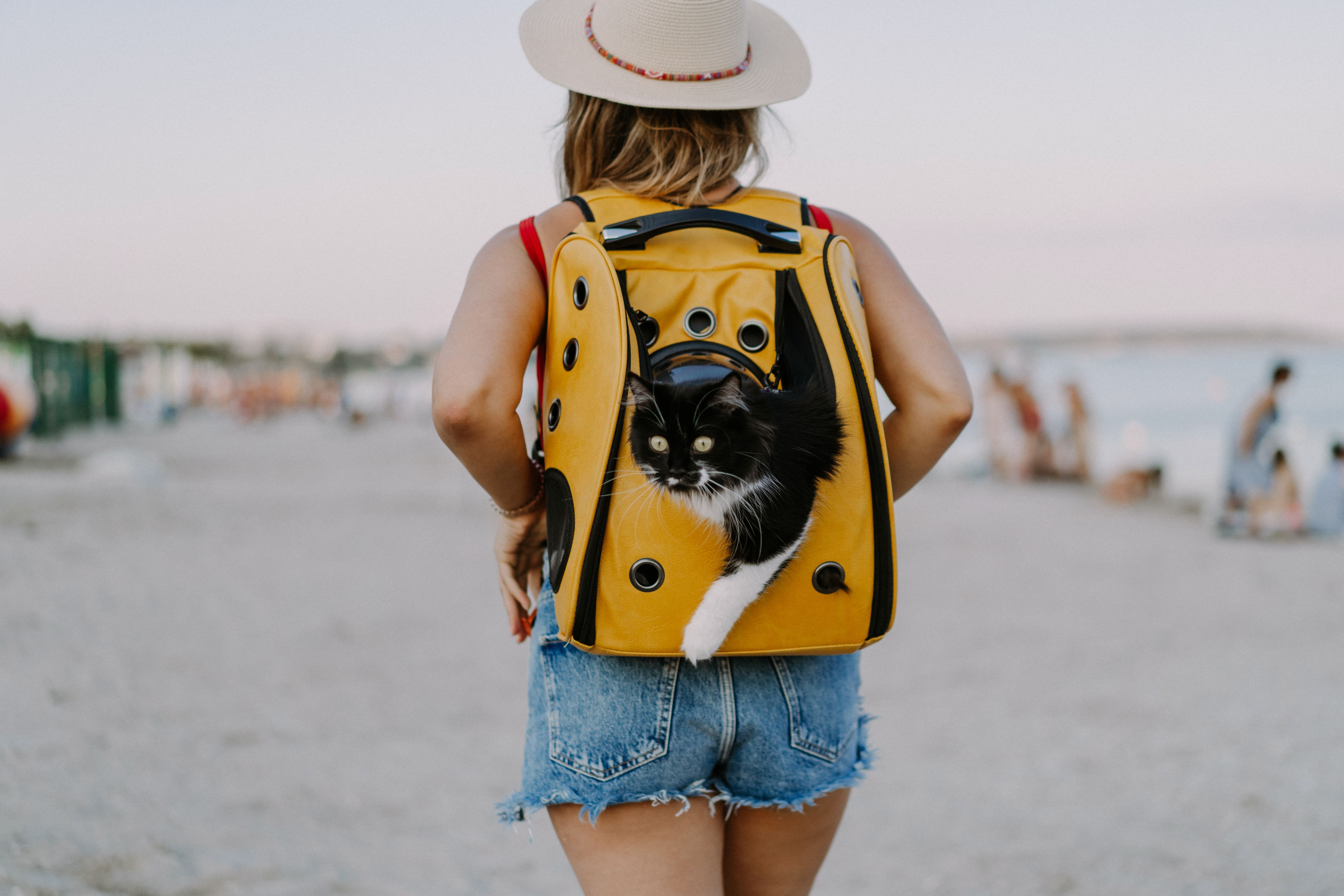 A woman traveling with her cat | Kitty Nook