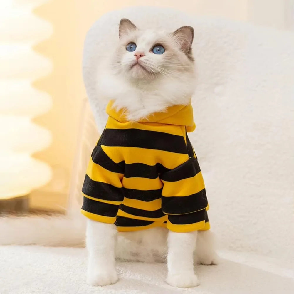 A fluffy white cat with blue eyes wears the KittyNook Cat Co. Cute Bee Costume, sitting on a white surface.