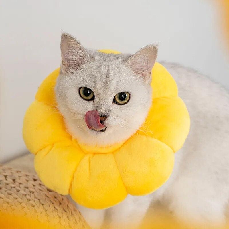 Sunflower Bloom Recovery Collar - KittyNook Cat Company