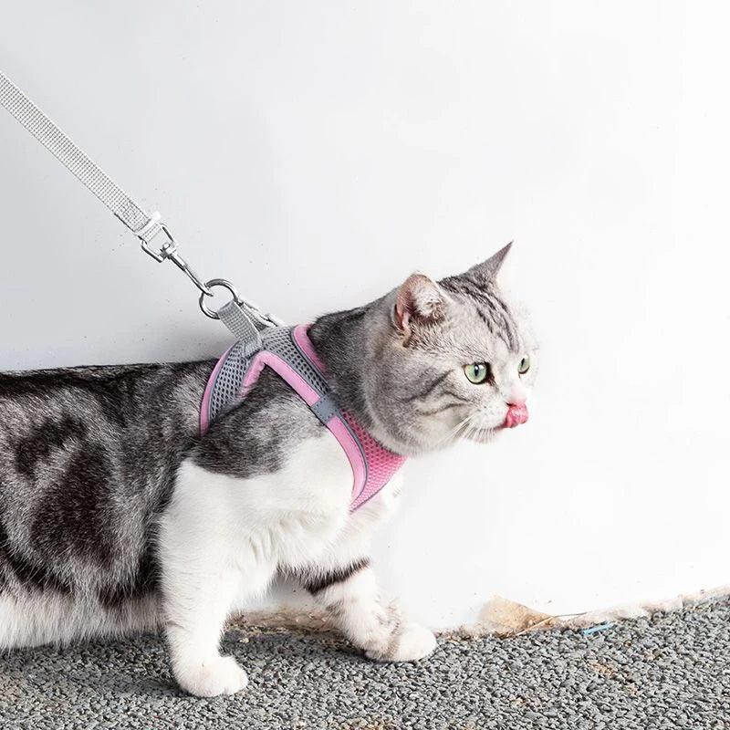 Sofy Breathable Cat Harness and Leash Pet Collars & Harnesses KittyNook Cat Company   