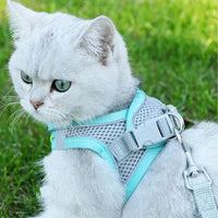 Thumbnail for Sofy Breathable Cat Harness and Leash