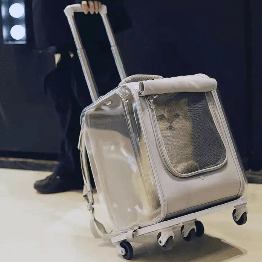 Pet Prowl Cat Stroller - KittyNook Cat Company