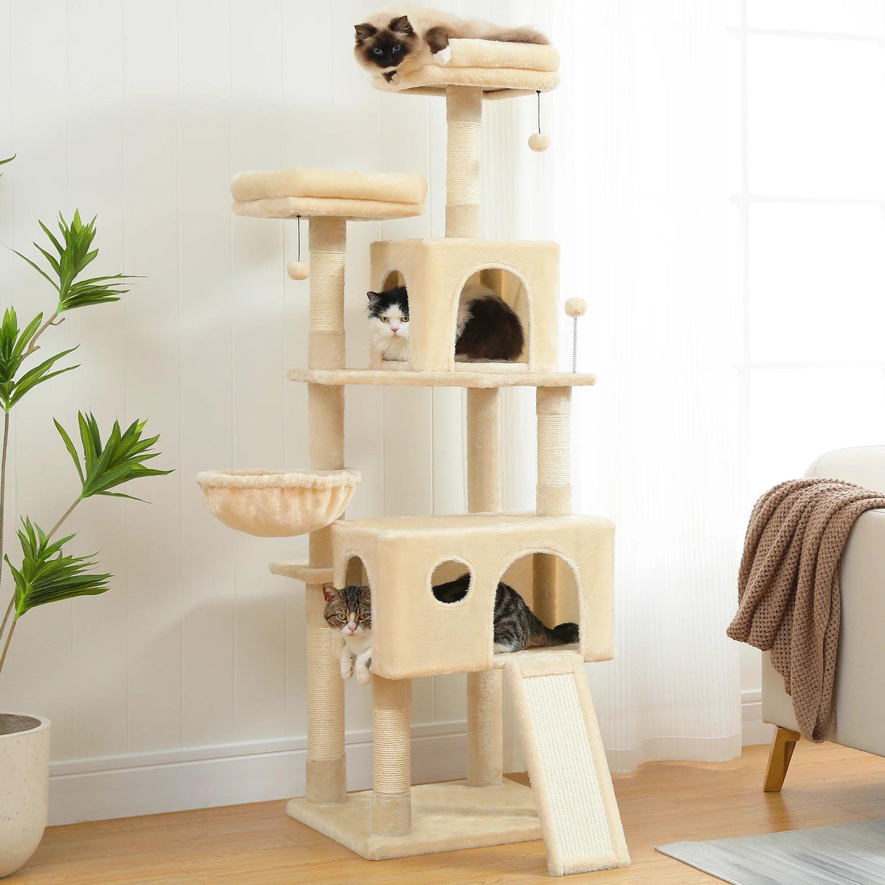 Treezilla Extra Large Cat Tree Cat Supplies KittyNook Cat Company   