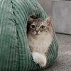 Pumpkin Palace Cat Cave Bed - KittyNook Cat Company