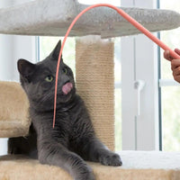 Thumbnail for Da Rat Tail Cat Toy in Pink