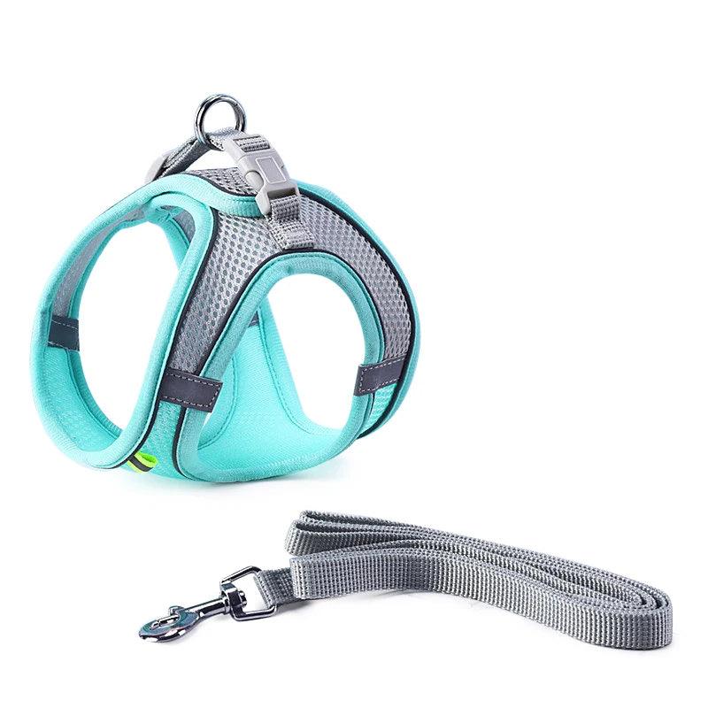 Sofy Breathable Cat Harness and Leash Pet Collars & Harnesses KittyNook Cat Company   