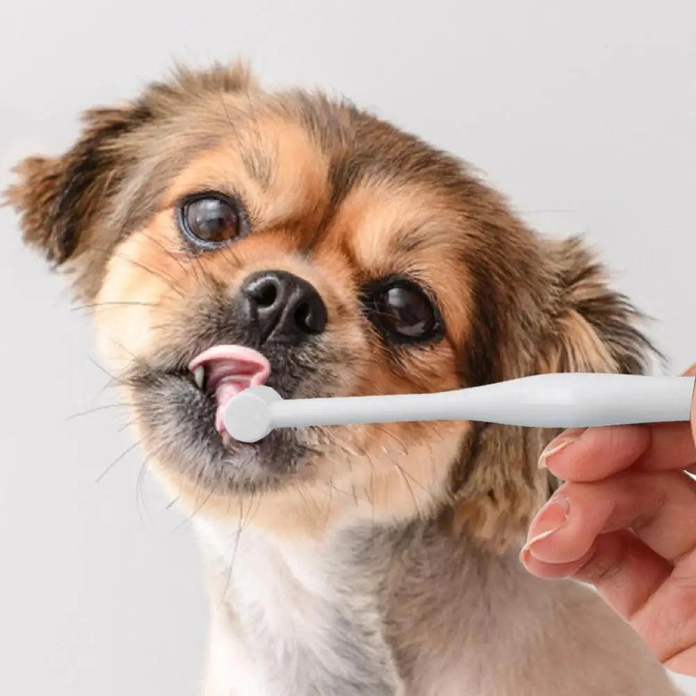 a puppy using Orbital Pet Toothbrush
