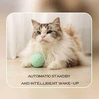 Thumbnail for Crazy Ball Interactive Cat Toy - KittyNook Cat Company