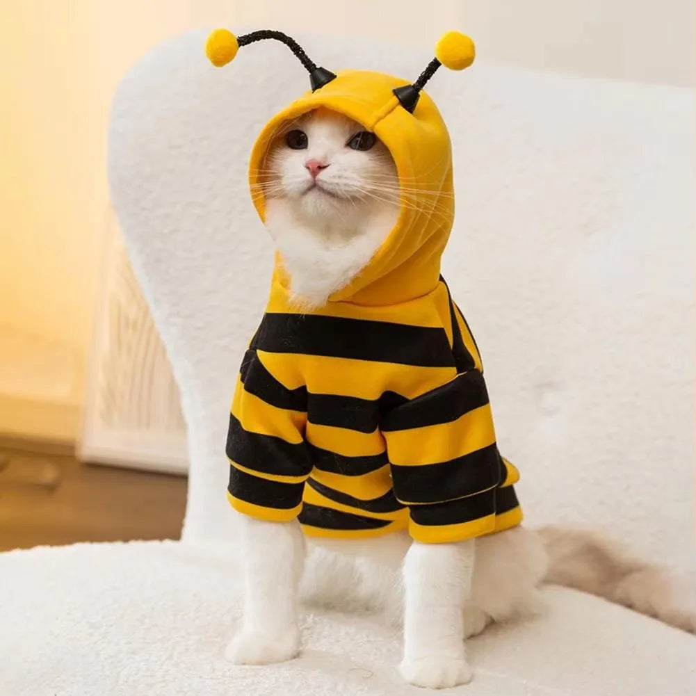 A white cat in the KittyNook Cat Co. Cute Bee Costume sits on a white couch, yellow and black with antennae.