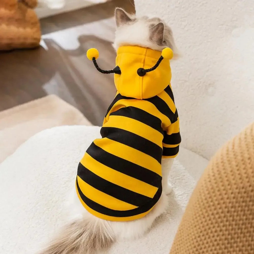 A cat in a Cute Bee Costume Cats by KittyNook Cat Co. with antennae sits on a white surface.
