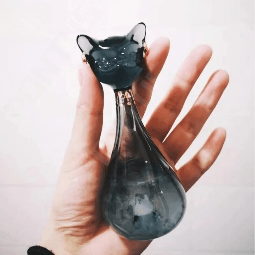 Furcast Weather Bottle - KittyNook Cat Company