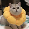 Sunflower Bloom Recovery Collar - KittyNook Cat Company