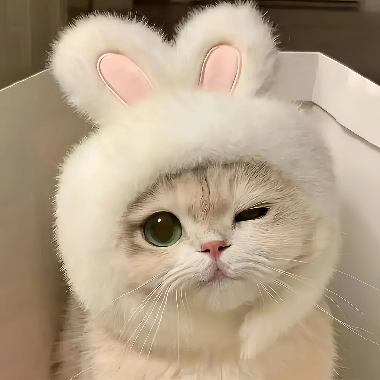 A fluffy cat winks playfully in a box, sporting the KittyNook Cat Co. Rabbit Ear Cat Bonnet pet accessory.