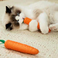 Thumbnail for Fluffy cat on a rug bites a KittyNook Cat Co. Bite-Resistant Cat Toy carrot, with another toy carrot nearby.