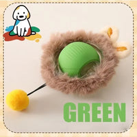 Thumbnail for The KittyNook Smart Rolling Cat Ball offers 4 hours of interactive play and encourages exercise with safe, pet-friendly materials.