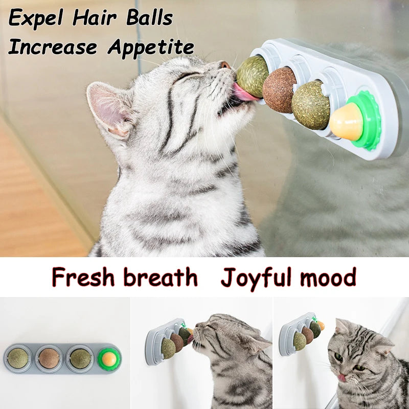 A grey tabby enjoys the KittyNook Cat Co. All Natural Catnip Lick Bar, promoting feline wellness and appetite.