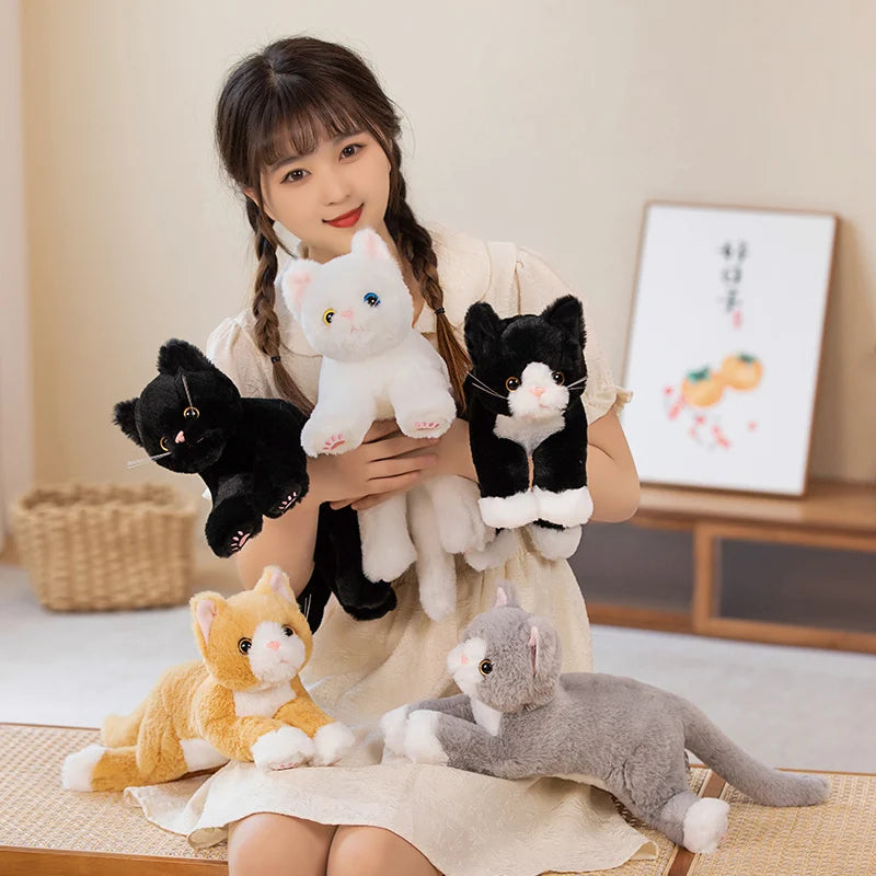 A young woman smiles, holding five colorful Snuggle Soft Cat Plush Dolls by KittyNook Cat Co. for the camera.
