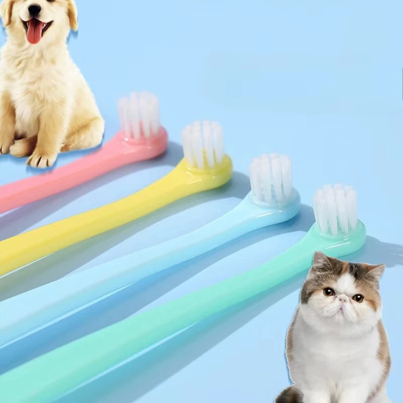 Four colorful toothbrushes and a puppy with a cat near the KittyNook Cat Co. Kitty Clean Micro Head Dental Brush.