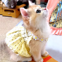 Thumbnail for KittyNook Cat Co. Adorable Cat Summer Dress features a cute cat print and charming summer style.