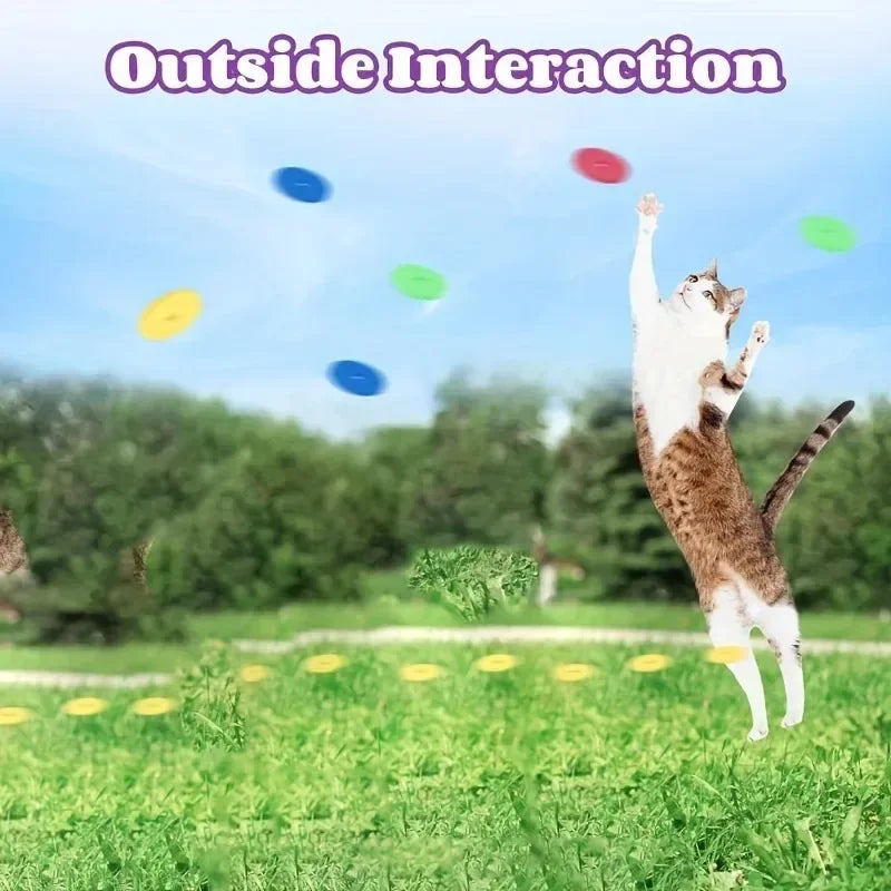 A cat leaps for foam discs from the Turnip Launcher by KittyNook Cat Co.—an interactive outdoor hunting toy.