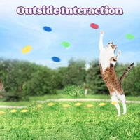 Thumbnail for A cat leaps for foam discs from the Turnip Launcher by KittyNook Cat Co.—an interactive outdoor hunting toy.