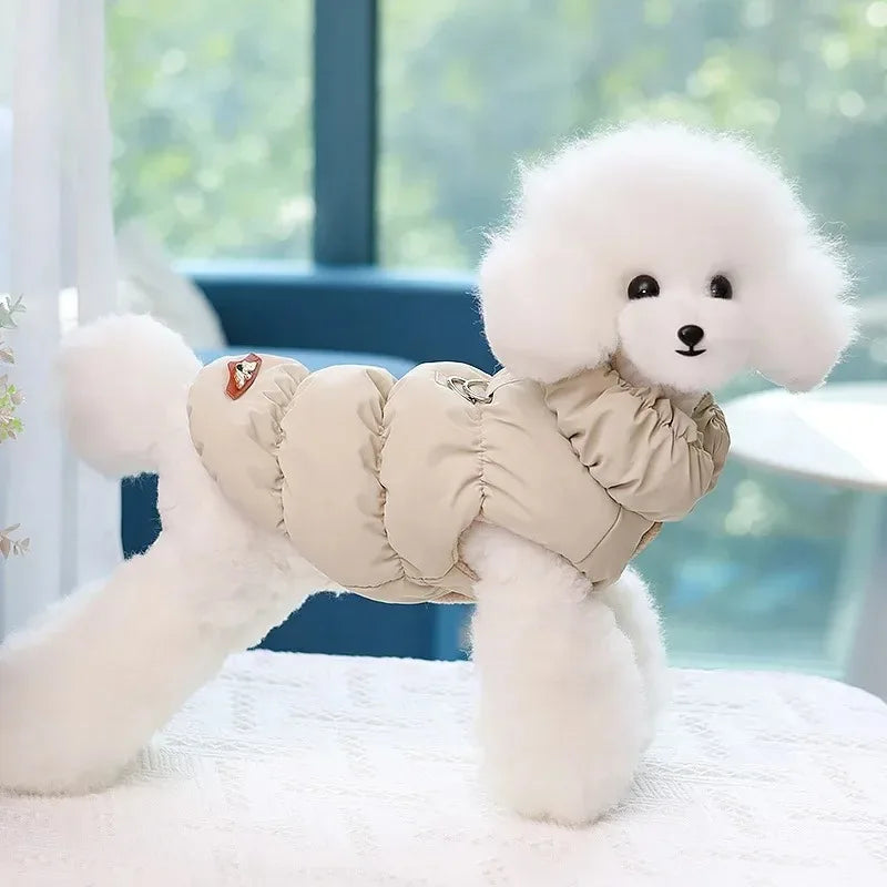A white poodle wears the Ultra-Soft Padded Winter Cat Jacket by KittyNook Cat Co. on a white surface in a bright room.