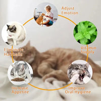 Thumbnail for KittyNook Cat Co. All Natural Catnip Lick Bar: Feline Wellness, Emotional Balance, Fresh Breath, Fewer Hairballs.