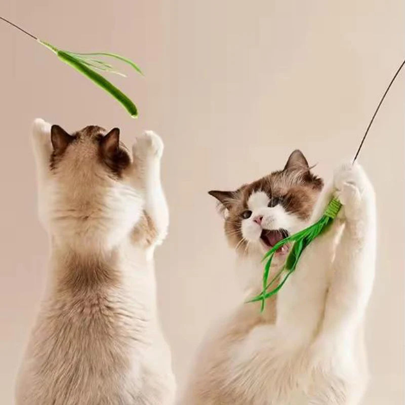 Two cats enjoy the Feather Wand: Fun & Fitness Combined by KittyNook Cat Co.—the perfect boredom buster for felines.