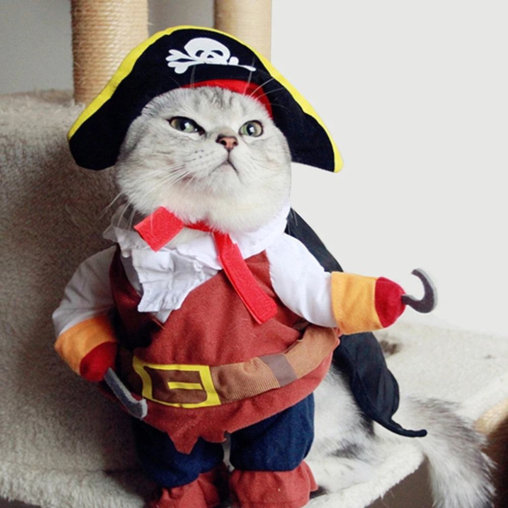 A gray cat wears the KittyNook Cat Co. Halloween Funny Pirate Cat Costume, posing on a cat tree with hat and hooks.