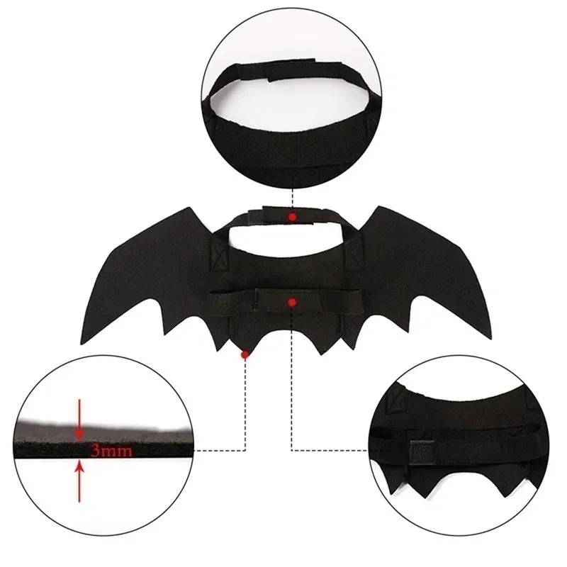 Halloween Bat Wing Cat Costume