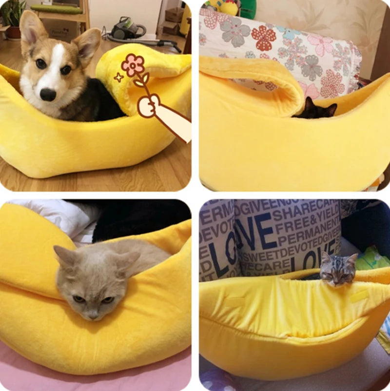 A dog and three cats relax separately in KittyNook Cat Co.'s Cute Funny Banana Shape Cat Beds in different rooms.