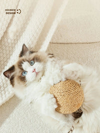 Thumbnail for A fluffy white and brown cat with blue eyes lies on a carpet, holding a KittyNook Premium Sisal Kitten Scratching Ball.