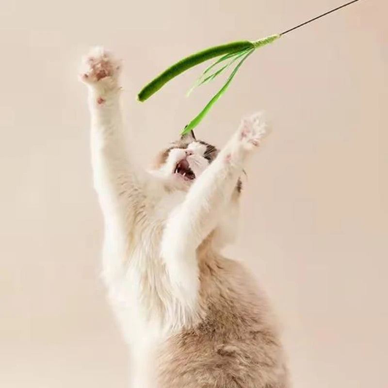 White and gray cat stands on hind legs, reaching for the Feather Wand: Fun & Fitness by KittyNook Cat Co.
