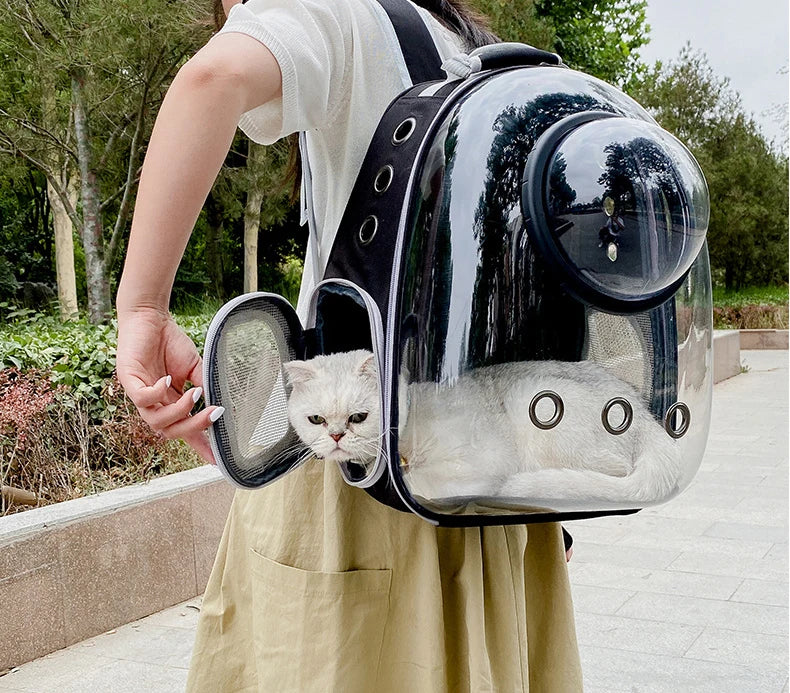 Space Cat Backpack
