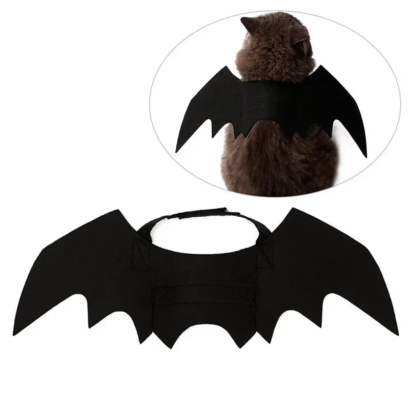 Halloween Bat Wing Cat Costume