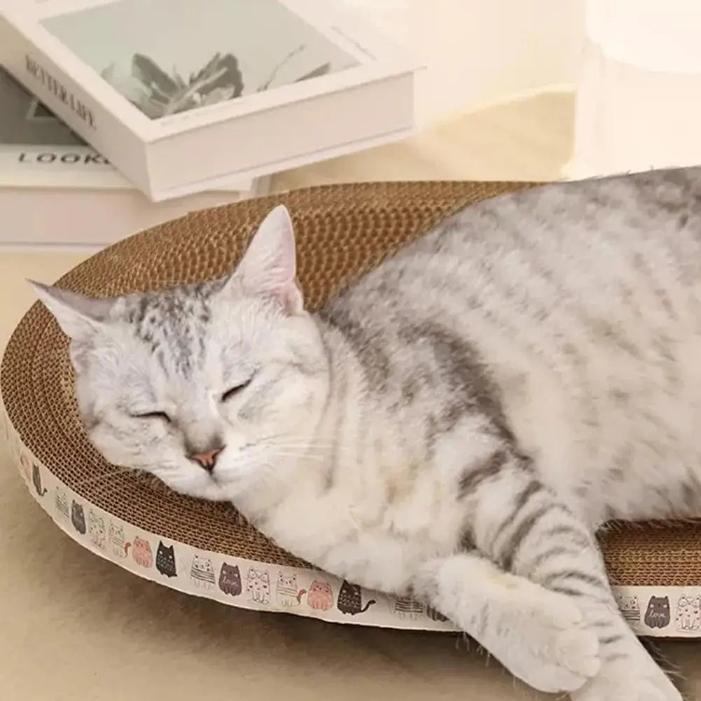 Gray tabby cat sleeping on KittyNook Cat Co. Cat Scratcher Cardboard, protecting furniture with books and lamp nearby.
