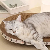 Thumbnail for Gray tabby cat sleeping on KittyNook Cat Co. Cat Scratcher Cardboard, protecting furniture with books and lamp nearby.