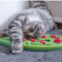 Thumbnail for Gray tabby cat plays with a KittyNook Cat Co. Interactive Cat Treat Puzzle on a gray carpet.