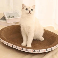 Thumbnail for A white cat in a brown basket near books enjoys the KittyNook Cat Co. Cat Scratcher Cardboard for claw care.