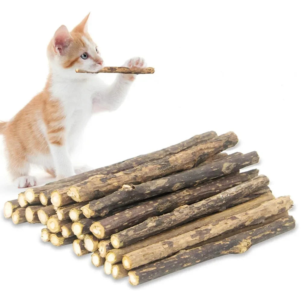 An orange and white kitten enjoys stress relief and play with KittyNook Cat Co. All-Natural Potent Catnip Sticks.