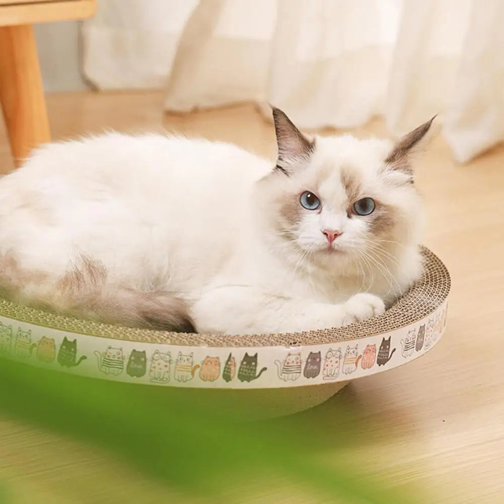 A fluffy white cat with blue eyes relaxes in a KittyNook Cat Co. Cat Scratcher Cardboard bed with cartoon faces.