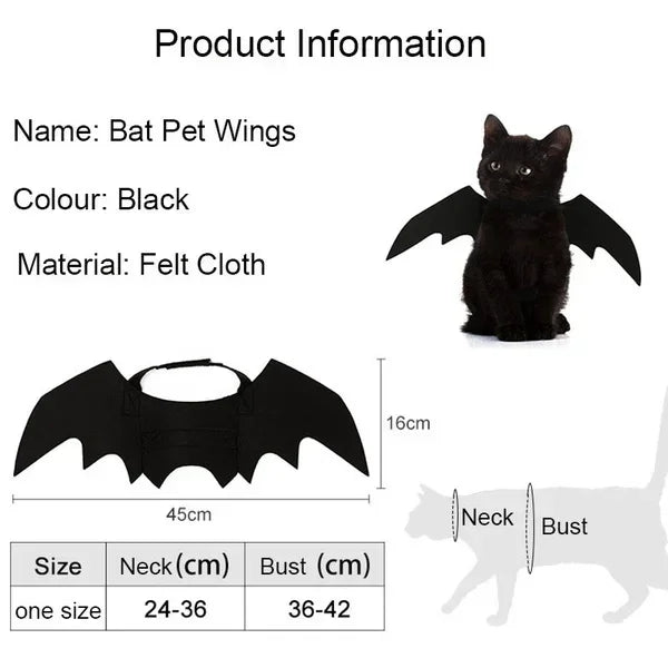 Halloween Bat Wing Cat Costume
