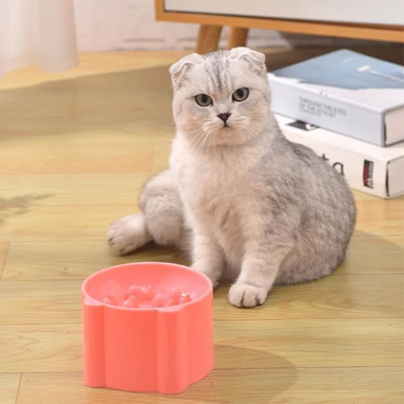 Gray folded-ear cat sits by KittyNook Cat Co. Elevated Anti-Choke Slow Feeder Bowl; pink bowl, books behind.