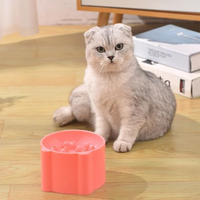 Thumbnail for Gray folded-ear cat sits by KittyNook Cat Co. Elevated Anti-Choke Slow Feeder Bowl; pink bowl, books behind.