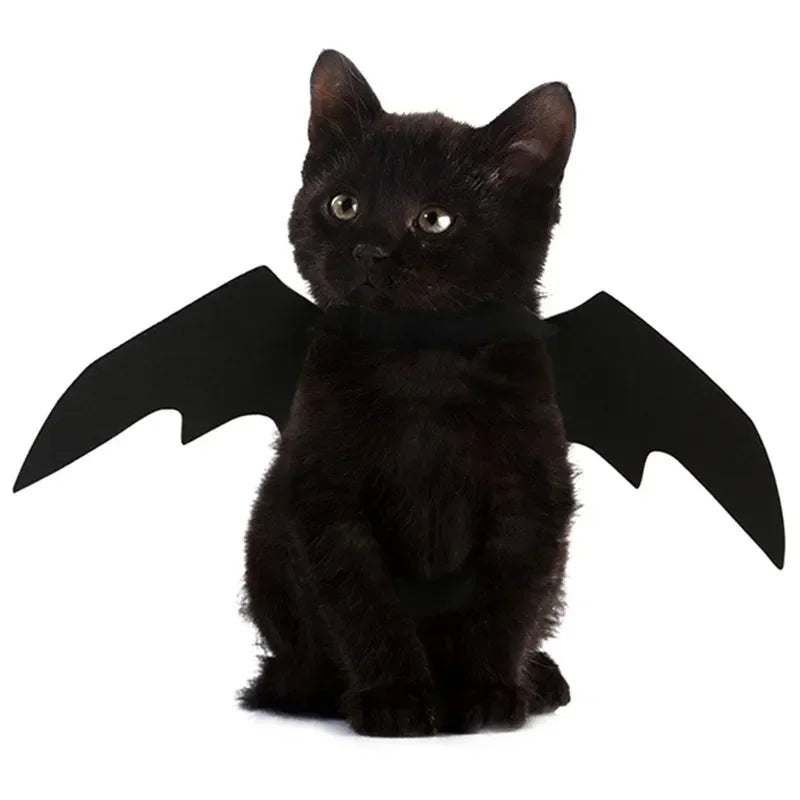 Halloween Bat Wing Cat Costume