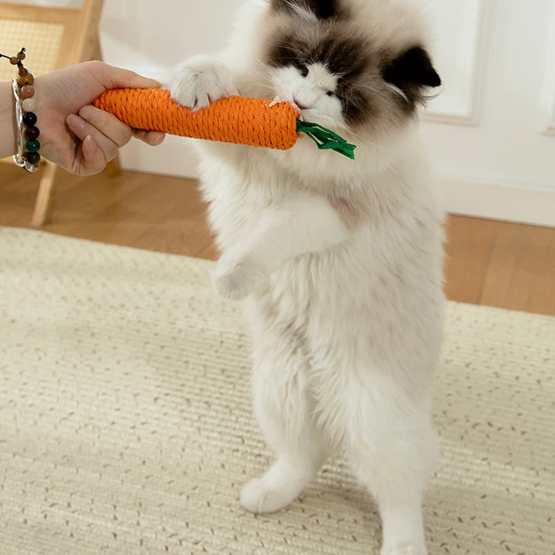 Fluffy cat stands on hind legs, biting a KittyNook Cat Co. Bite-Resistant Cat Toy shaped like an orange carrot.