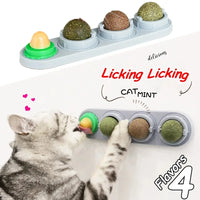 Thumbnail for Cats love the KittyNook Cat Co. All Natural Catnip Lick Bar—a wall-mounted tray of 4 catnip balls for feline wellness.