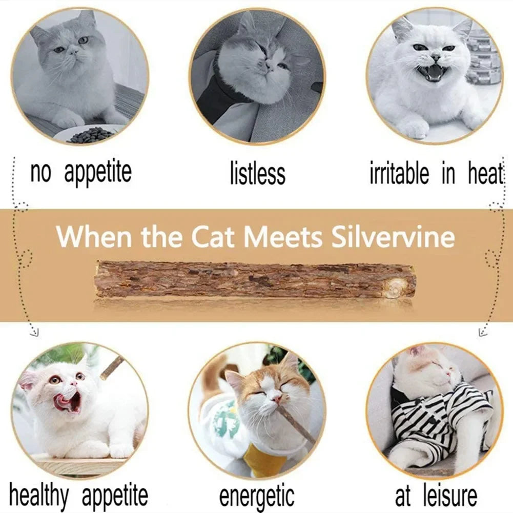 Six cats enjoy KittyNook Cat Co. All-Natural Potent Catnip Sticks for stress relief and natural dental care.