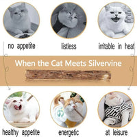 Thumbnail for Six cats enjoy KittyNook Cat Co. All-Natural Potent Catnip Sticks for stress relief and natural dental care.